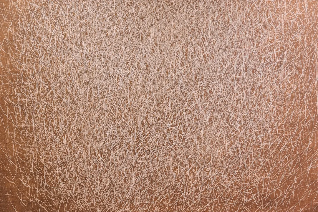 Närbild av en brun yta täckt av ett tätt nätverk av vita, tunna linjer.